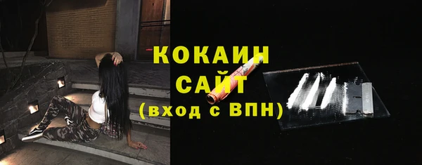 гидра Абаза