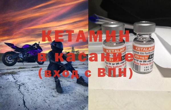 гидра Абаза