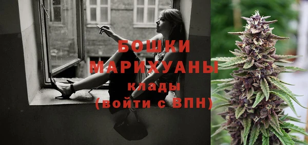 ПСИЛОЦИБИНОВЫЕ ГРИБЫ Абдулино