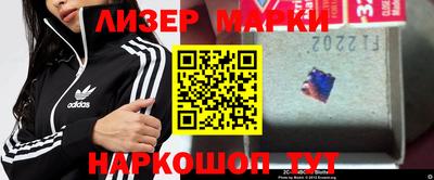 гидропоника Камышлов