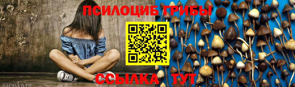 Псилоцибиновые грибы прущие грибы  купить наркотик  Майский  Псилоцибиновые грибы Psilocybe  Вход с VPN 