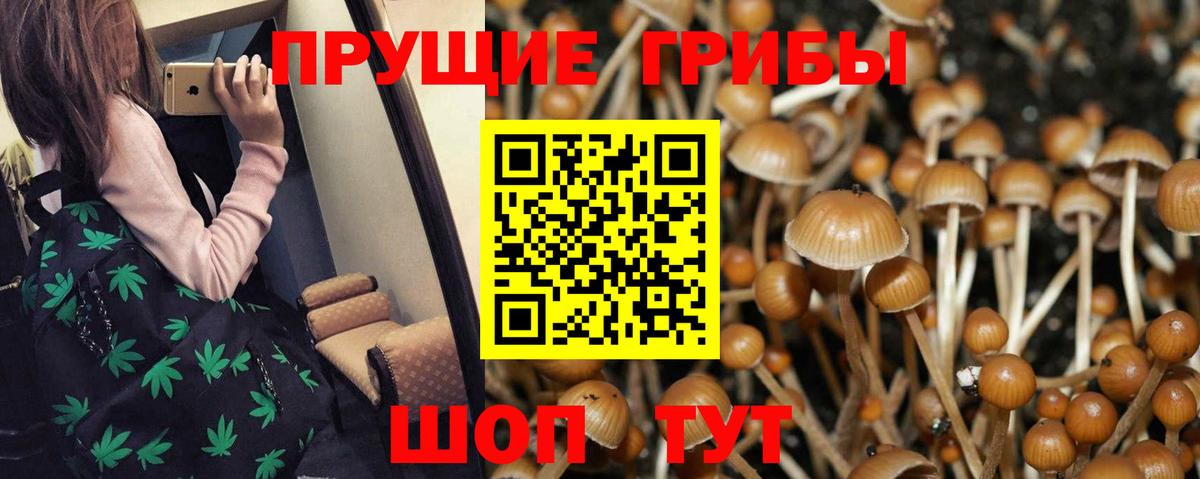 Псилоцибиновые грибы мухоморы Майский